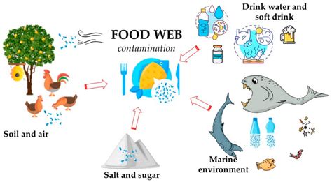 Toxics | Free Full-Text | Microplastics in the Environment: Intake ...