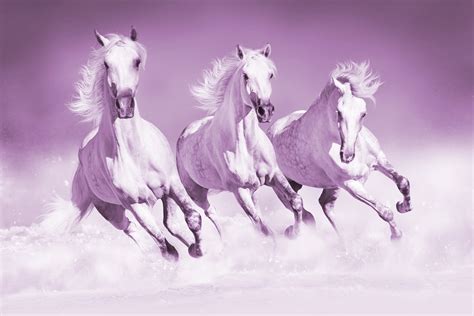 Pink Horses Wallpaper - Buy Stunning Horse Themed Wallpapers at Happywall