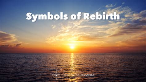 11 Potent Symbols of Rebirth: From Phoenix to Scarab Beetle