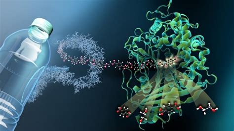 Chinese Researchers Identify Plastic Eating Bacteria