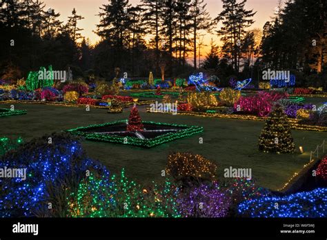 An estimated 300,000 lights transform the Shore Acres State Park Botanical Garden into a magical ...