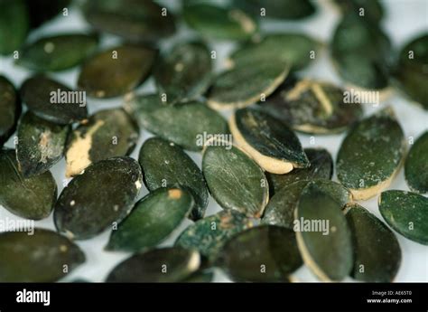 Pumpkin seeds (Cucurbita maxima Stock Photo - Alamy