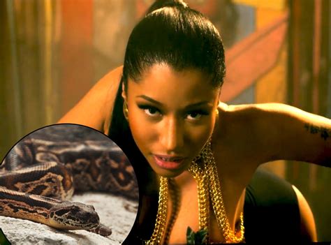 Nicki Minaj Dancer Bitten by Snake During Anaconda Performance at 2014 ...