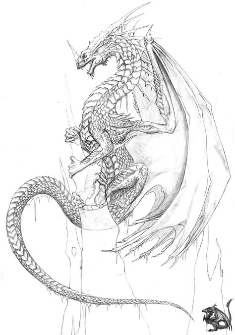 gargoyles dragons in pencil - Google Search (With images) | Dragon ...