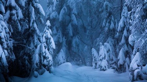 Nordic Winter Wallpapers - Top Free Nordic Winter Backgrounds ...