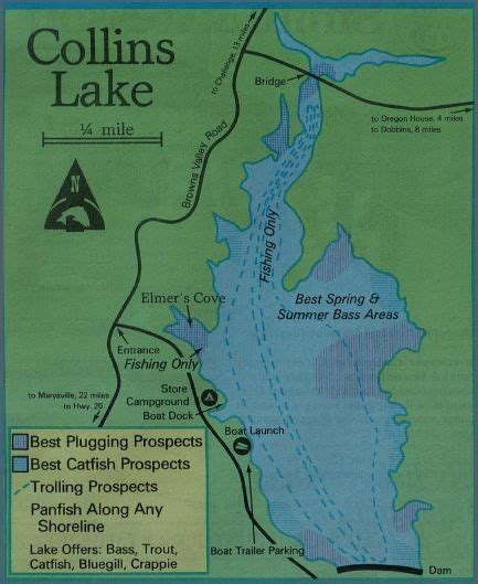 collins-lake-fishing-map-and-fishing-report-how-to-fish-and-where-to-fish-on-this-lake ...