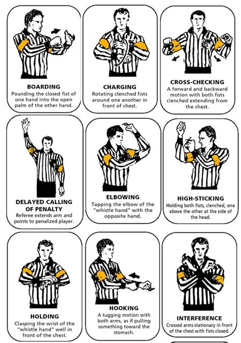 Basic Rules of NHL Hockey: A Visual Guide - HowTheyPlay