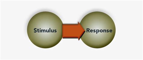 Stimulus Response “ - Stimulus–response Model - Free Transparent PNG ...