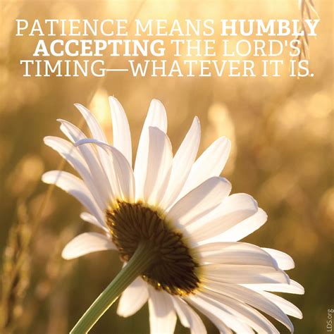 Patience Is Humbly Accepting