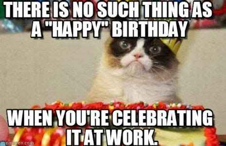 Happy Birthday Meme Grumpy Cat | Happy birthday funny cats, Funny happy birthday meme, Grumpy ...