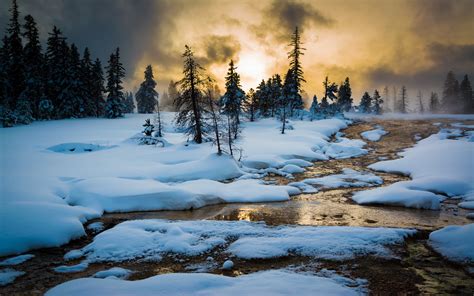 Winter in Yellowstone Wallpaper - WallpaperSafari