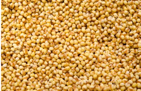 Indian Foxtail Millet Rice, No Artificial Flavour at Rs 40/kilogram in ...