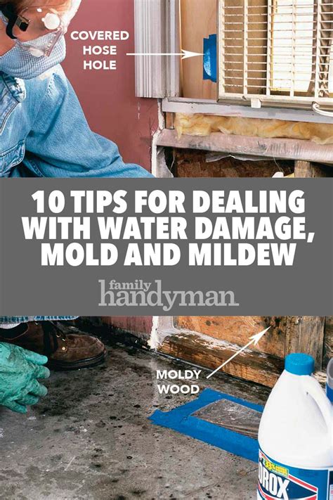 10 Tips for Dealing With Water Damage, Mold and Mildew | Mold and mildew, Water damage repair ...