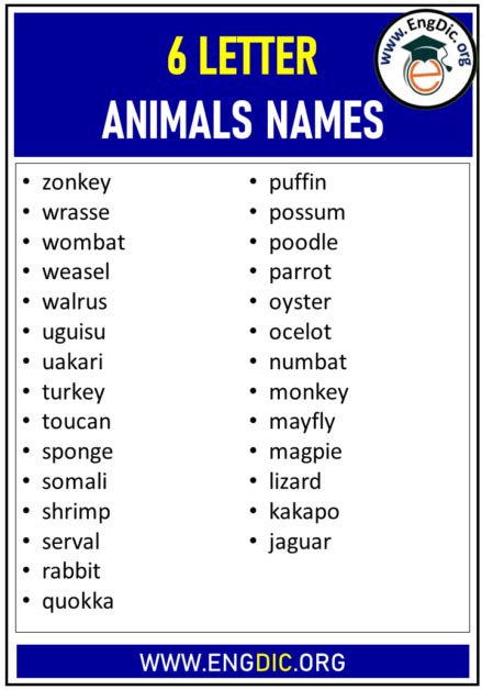 6 Letter Animals Names List - EngDic