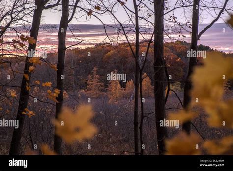 Minnesota Landscape Arboretum, yellow autumn leaves, foliage changing ...