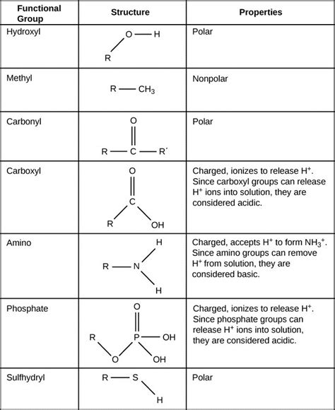 Organic Compounds Structure