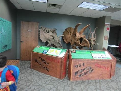 Burpee Museum of Natural History (Rockford) - 2021 All You Need to Know BEFORE You Go (with ...