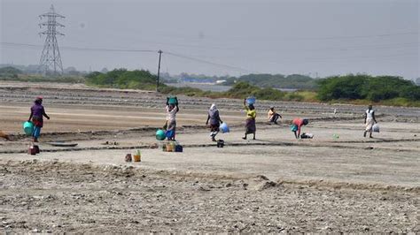 Repair of damaged salt pans gets under way in Thoothukudi - The Hindu