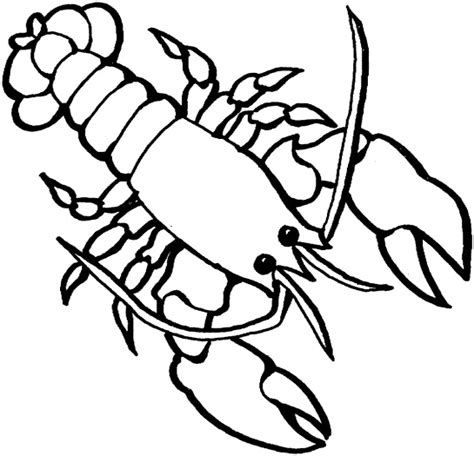 Cartoon Black And White Lobster - ClipArt Best