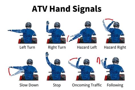 Driving test hand signals california - rillyprep