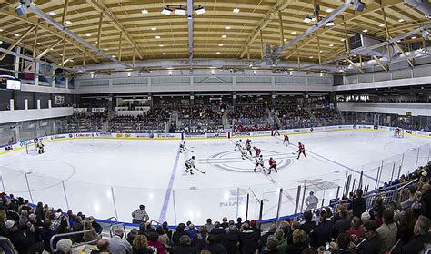 Canisius Golden Griffins - College Hockey, Inc.