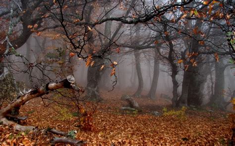 Creepy Autumn Wallpapers - Wallpaper Cave