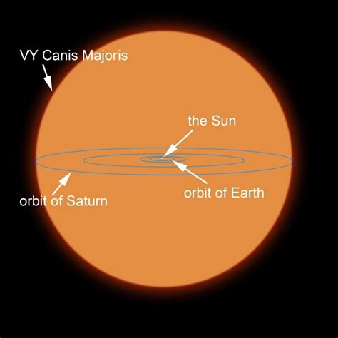 A diagram comparing the Sun to VY Canis Majoris, the largest known star Poster Print - Walmart ...