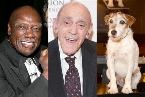 Oscars In Memoriam Snubs Include Abe Vigoda, Tony Burton, Uggie the Dog (Video) - TheWrap