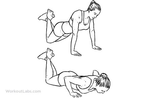 Modified / Knee Push-ups / Pushups | WorkoutLabs