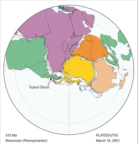 Plate reconstruction of Gondwana during the late Paleozoic at 310 Ma ...