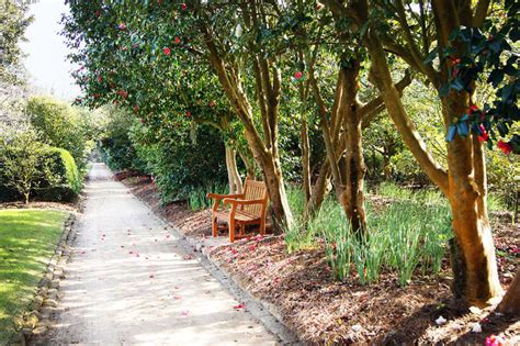 Middleton Place Garden Tours, Butterfly Lakes, Formal And Landscaped Gardens In Charleston