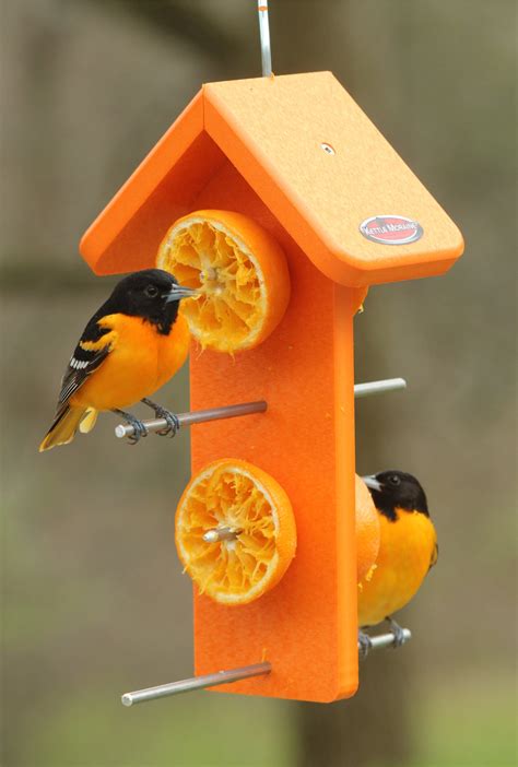 Recycled Orange Oriole Fruit Feeder (Double) – Kettle Moraine ...