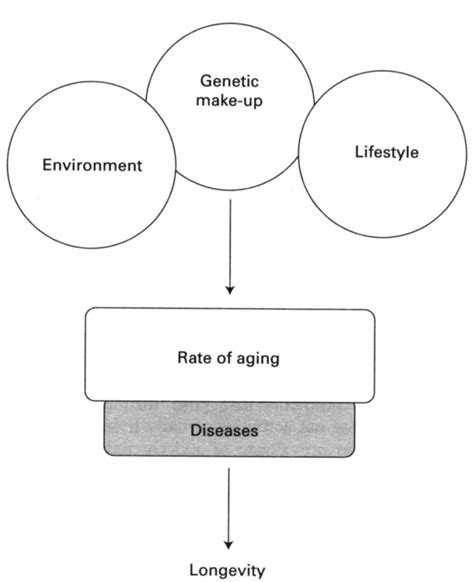 Factors affecting longevity. | Download Scientific Diagram