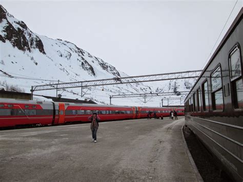 The World’s Most Beautiful Train Ride Norway in a Nutshell – Nomad Life ...