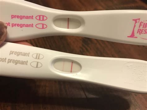 How Long Does A Digital First Response Pregnancy Test Take - PregnancyWalls