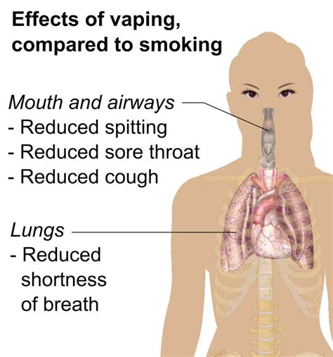 - Best Vaporizer Temperature Setting Guide