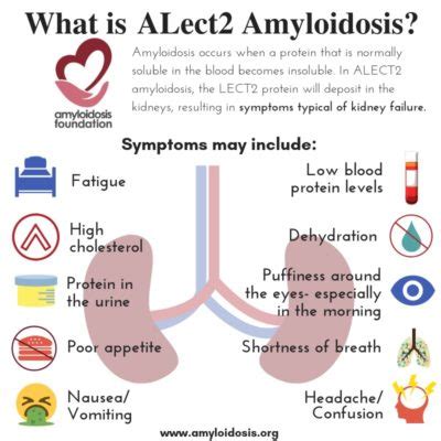 Other Types of Amyloidosis | Amyloidosis Foundation