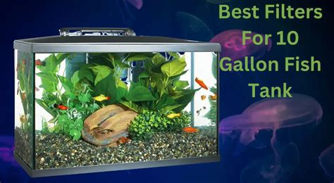 the 7 Best Fish Tank Filters for 10 Gallon Aquariums