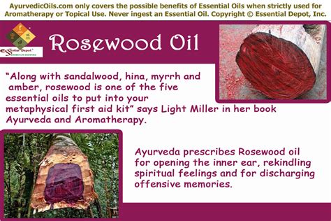 Health benefits of Rosewood essential oil | Essential Oil