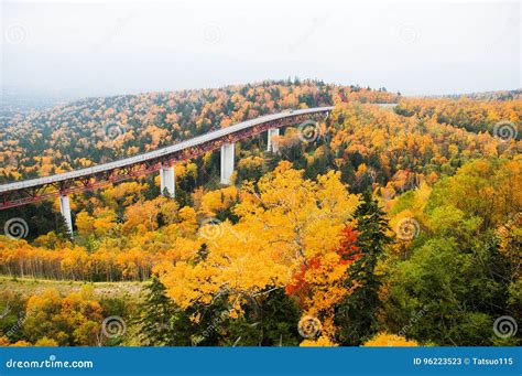 Mikuni Pass in Autumn, Hokkaido, Japan Stock Image - Image of destination, abies: 96223523