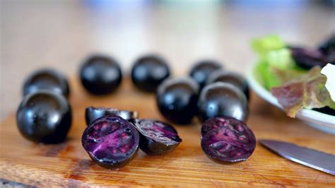 Gardeners can now grow a genetically modified purple tomato made with ...