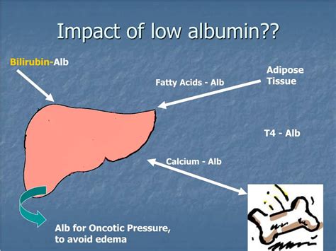 Albumin Levels