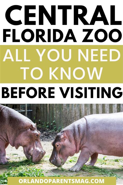 Things to do at Central Florida Zoo with kids | Florida zoo, Where to take kids, Brevard zoo