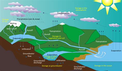 13.1 The Hydrological Cycle | Physical Geology
