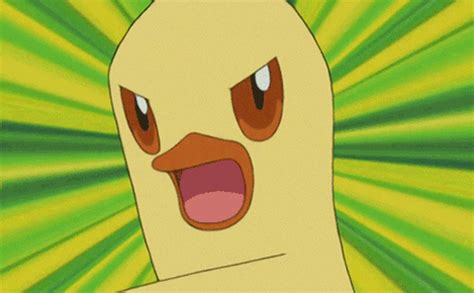 Image - Combusken-Anime-80678.gif | PokéFanon | FANDOM powered by Wikia