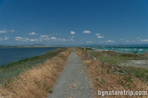 Pomorie Lake: Walk along the sand strip - BgNatureTrip