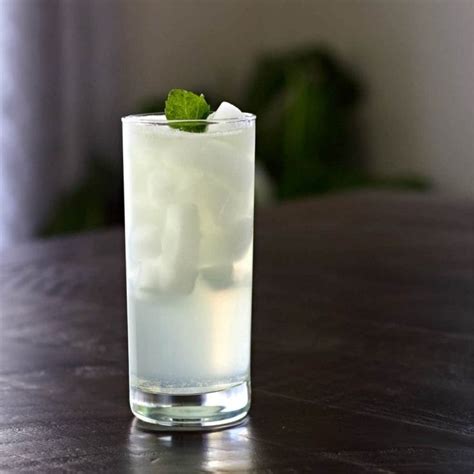 Classic Gin Fizz Recipe and Variations | Homemade Food Junkie