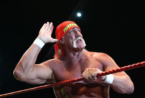 Hulk Hogan - TariekNaomi