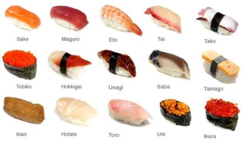 Nigiri Types | Types of sushi, Sushi, Nigiri