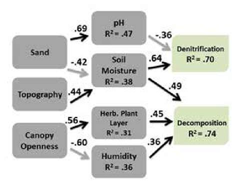 Decomposition rates were positively related to soil moisture, relative ...